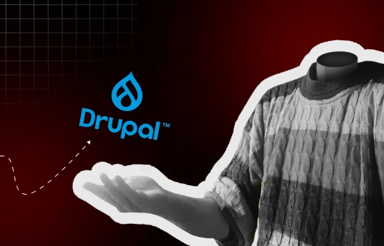 Power of Headless Drupal in Web Development